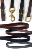 Web Grip Reins